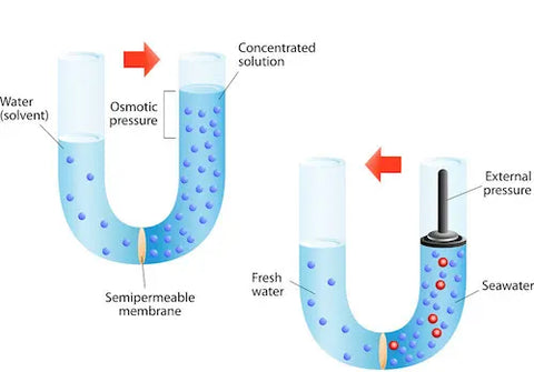 Reverse Osmosis