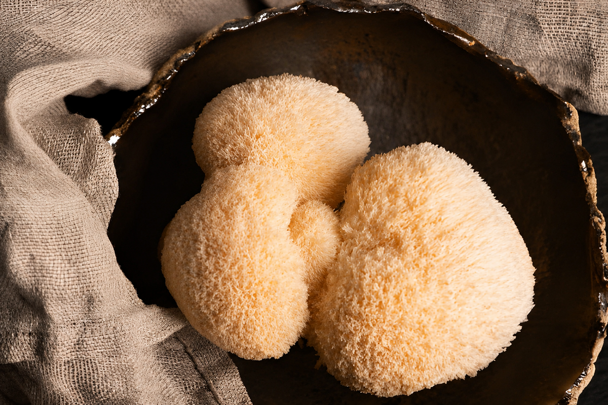 What Are Functional Mushrooms? And Why Is Everyone Suddenly Obsessed?