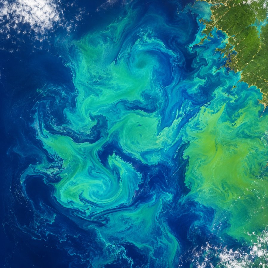 Blue and green ocean bloom seen from above